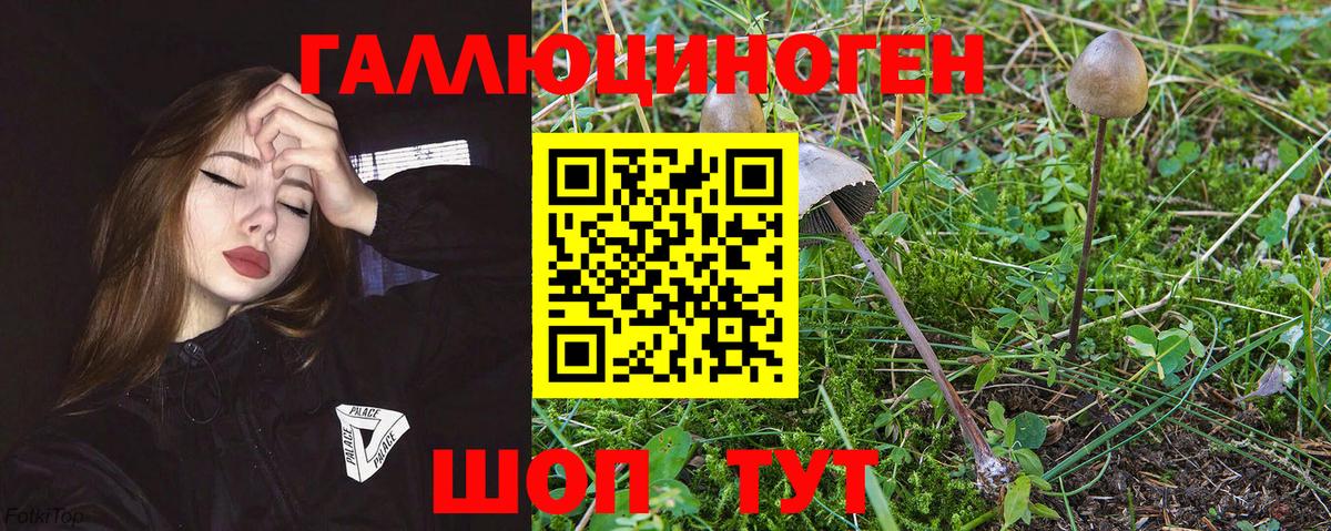 Галлюциногенные грибы мухоморы  Тында 