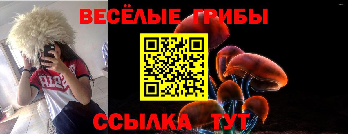 Галлюциногенные грибы ЛСД Тында